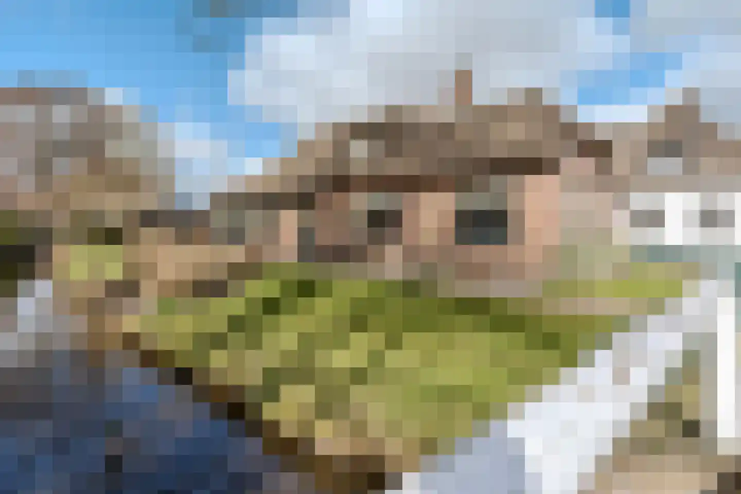 Zuiderpad 36 Giethoorn thumbnail 36