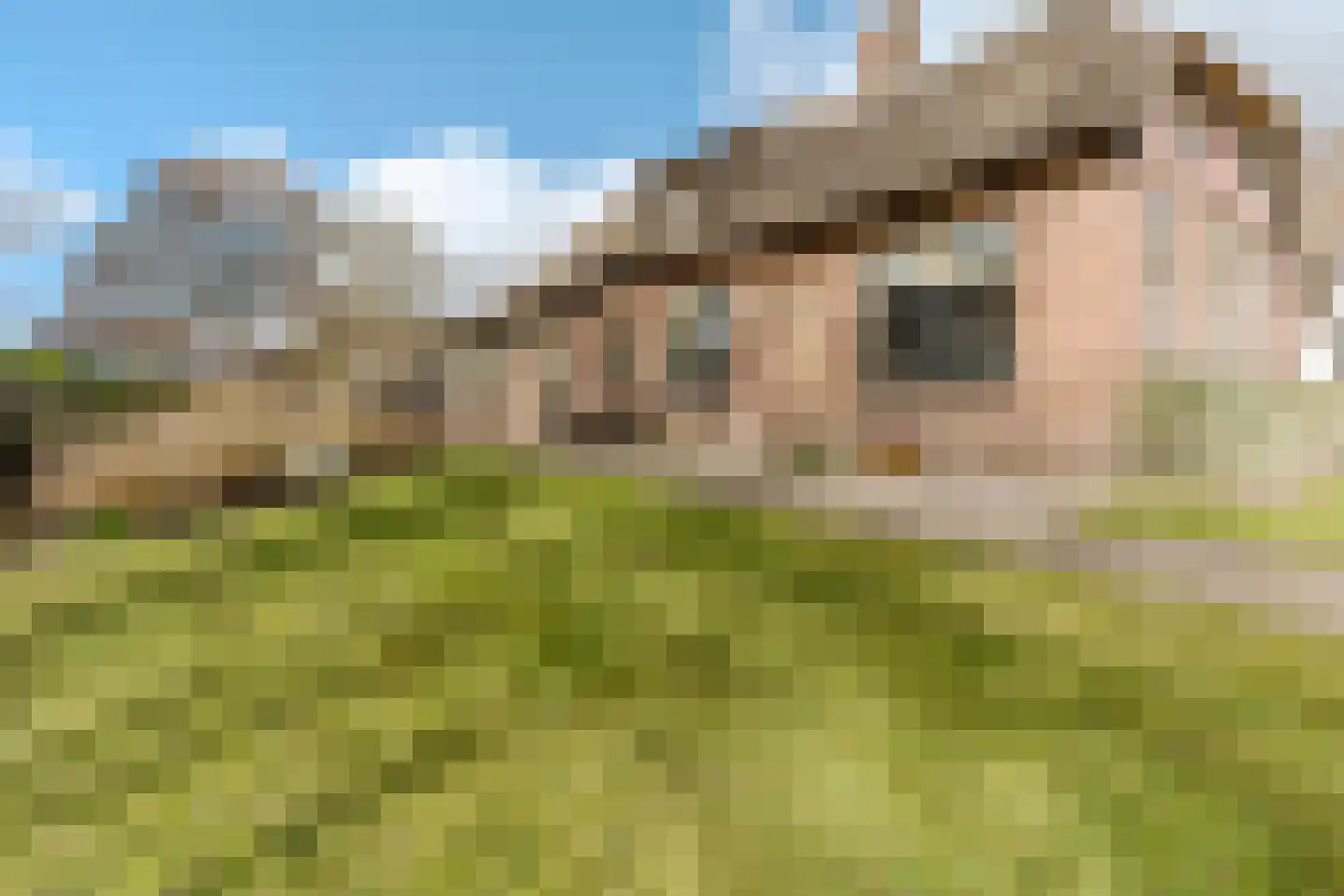 Zuiderpad 36 Giethoorn thumbnail 37