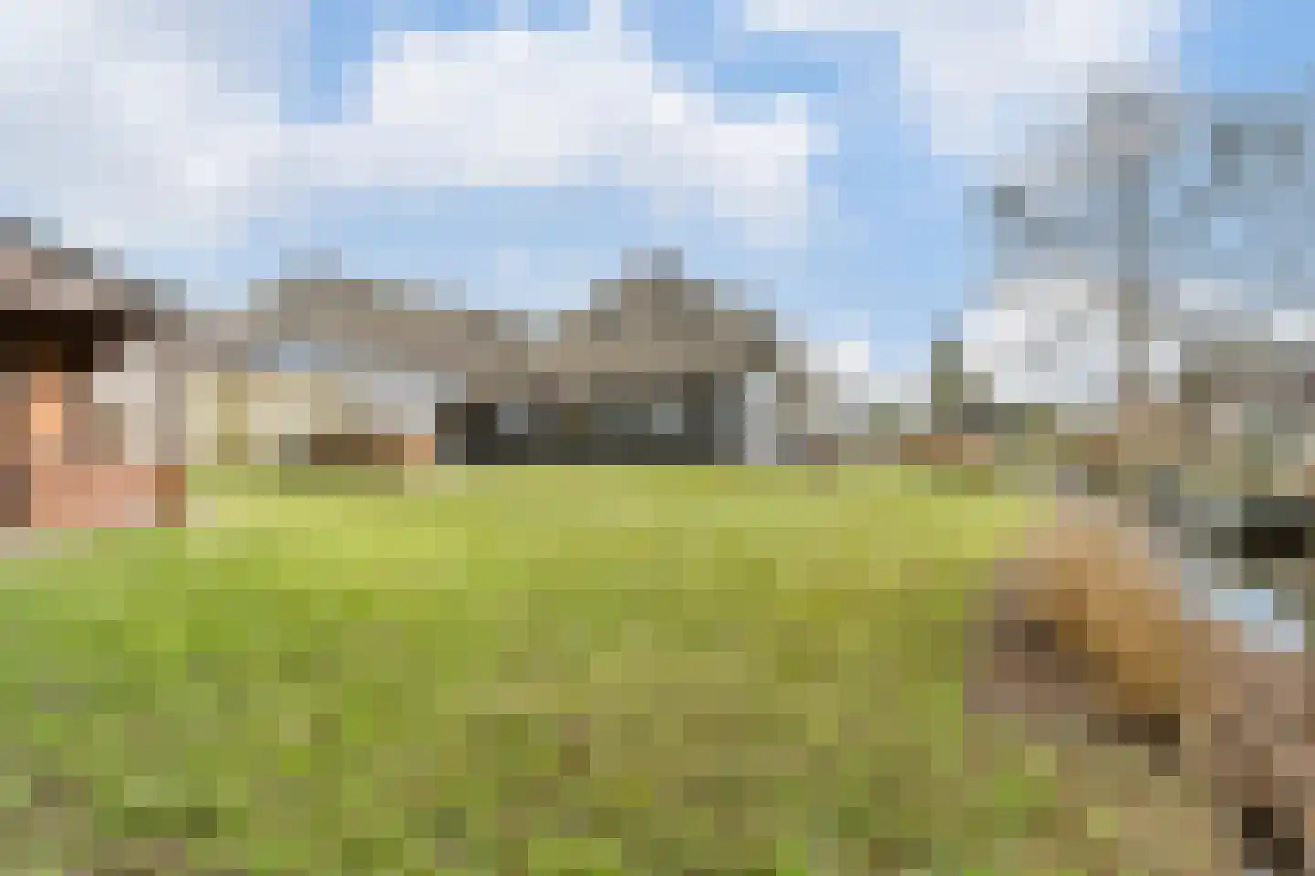 Zuiderpad 36 Giethoorn thumbnail 41