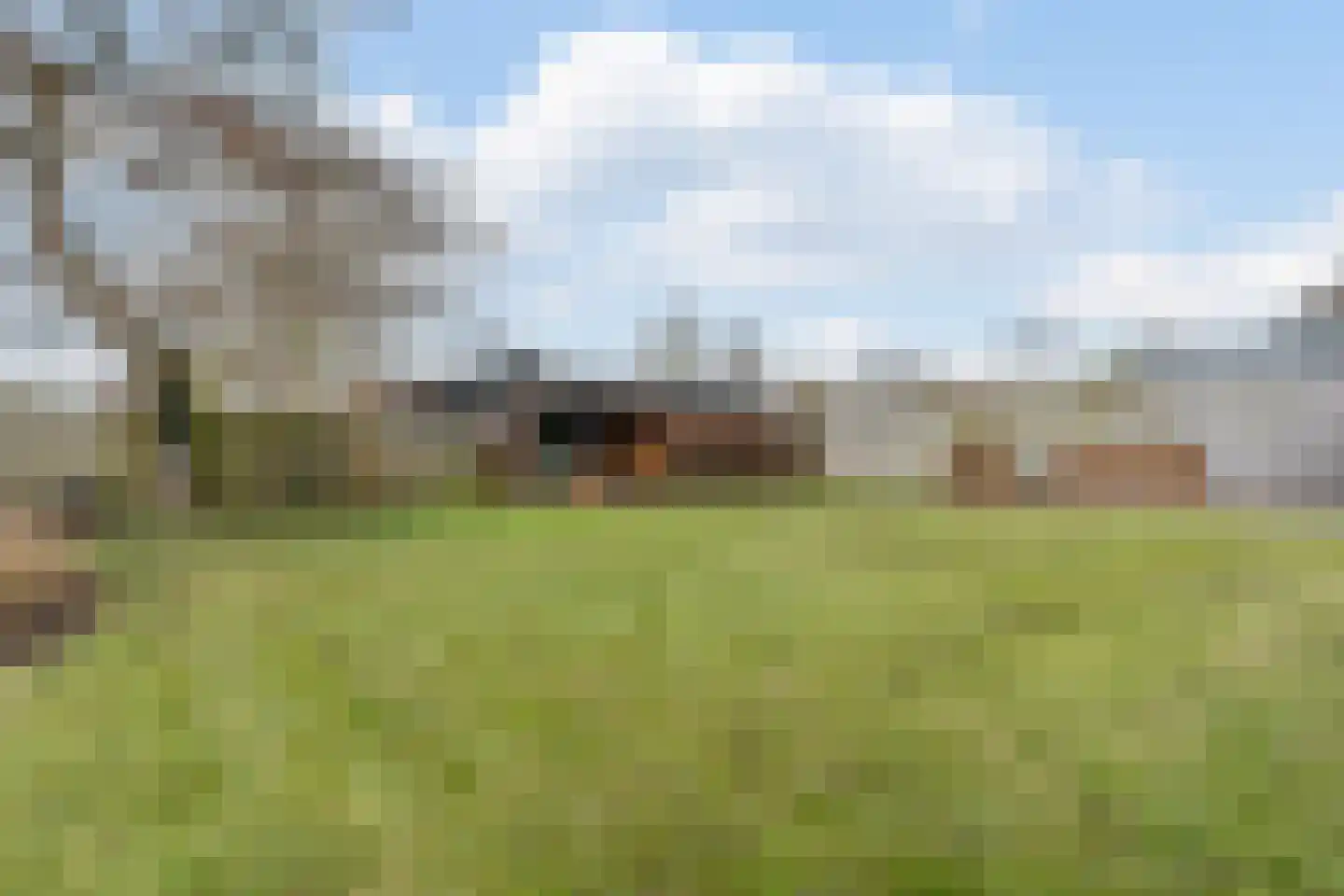 Zuiderpad 36 Giethoorn thumbnail 42