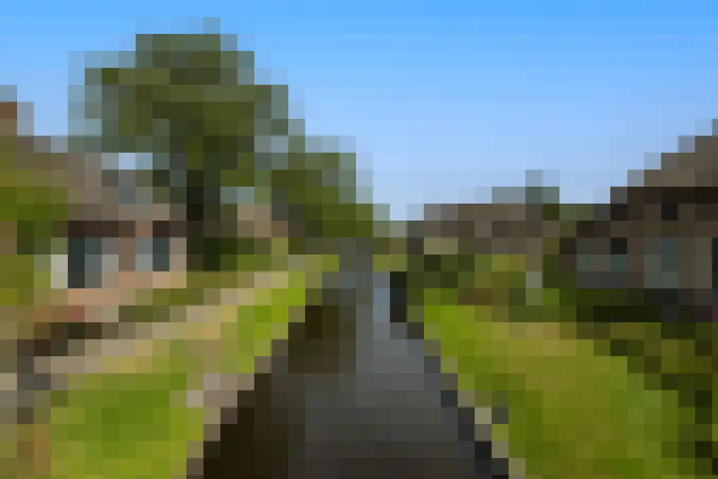 Zuiderpad 46 Giethoorn thumbnail 101