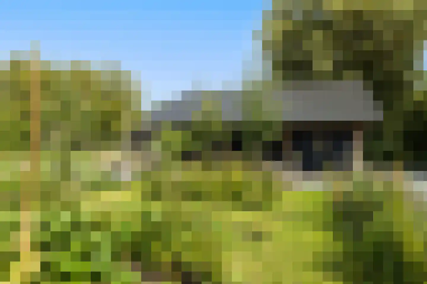 Zuiderpad 46 Giethoorn thumbnail 106