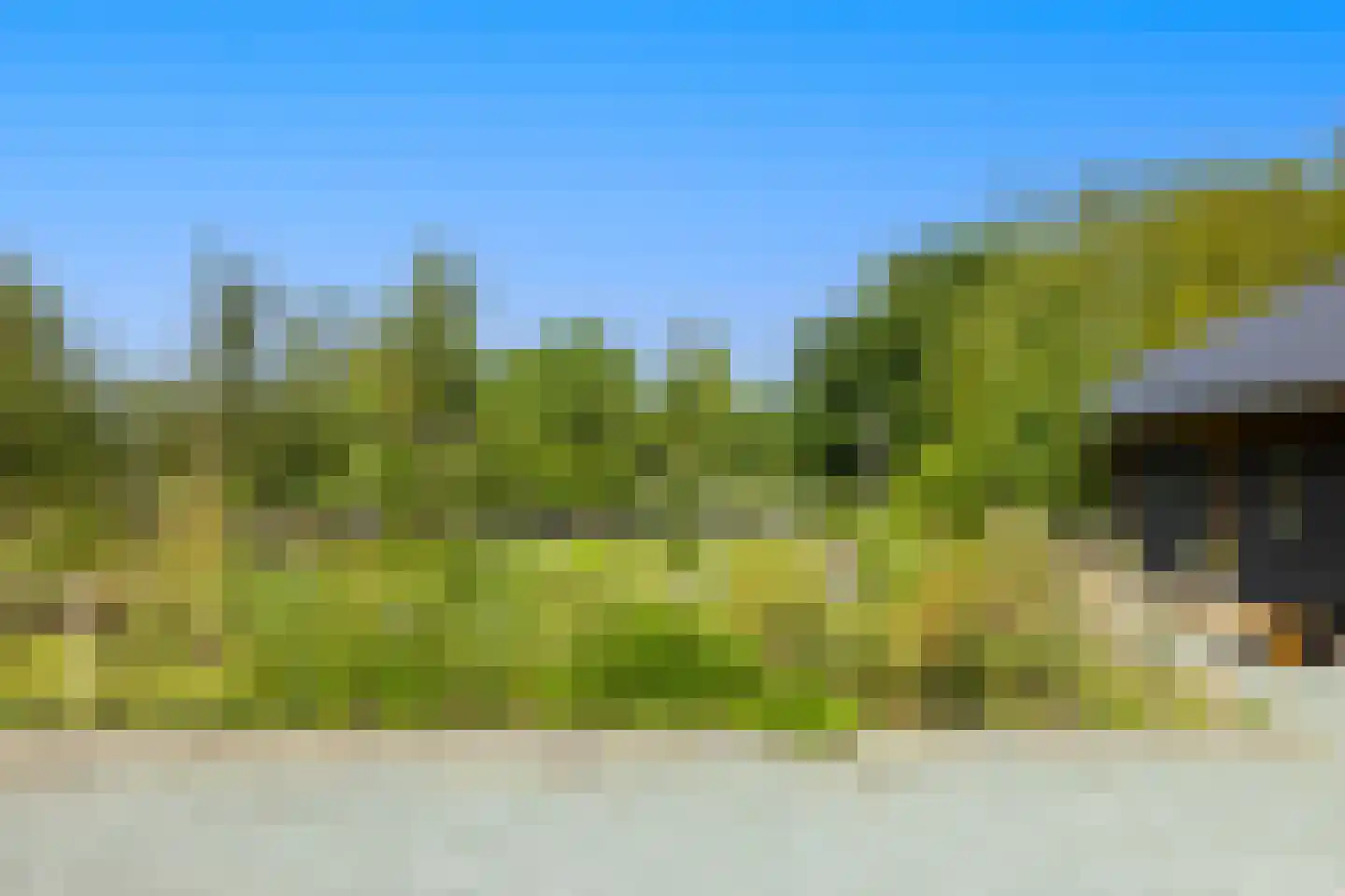 Zuiderpad 46 Giethoorn thumbnail 107