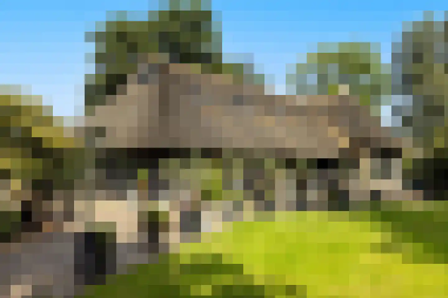 Zuiderpad 46 Giethoorn thumbnail 110