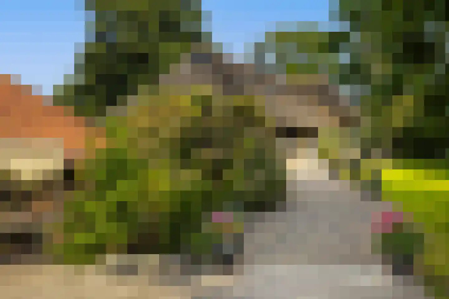 Zuiderpad 46 Giethoorn thumbnail 111