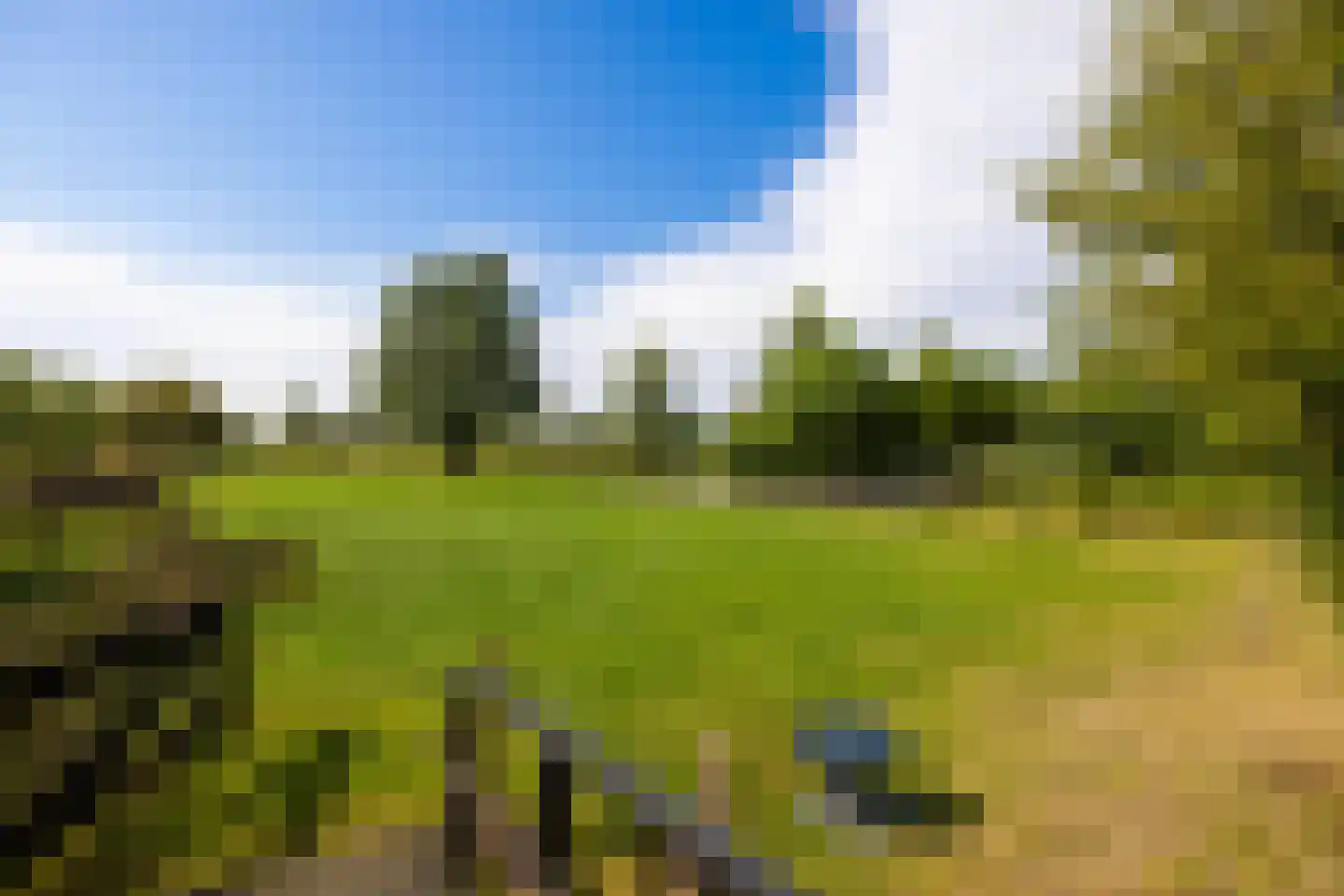 Zuiderpad 46 Giethoorn thumbnail 112