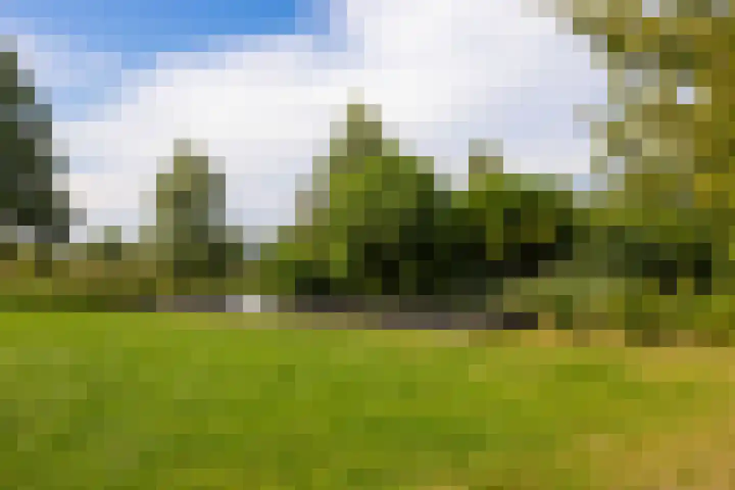 Zuiderpad 46 Giethoorn thumbnail 113