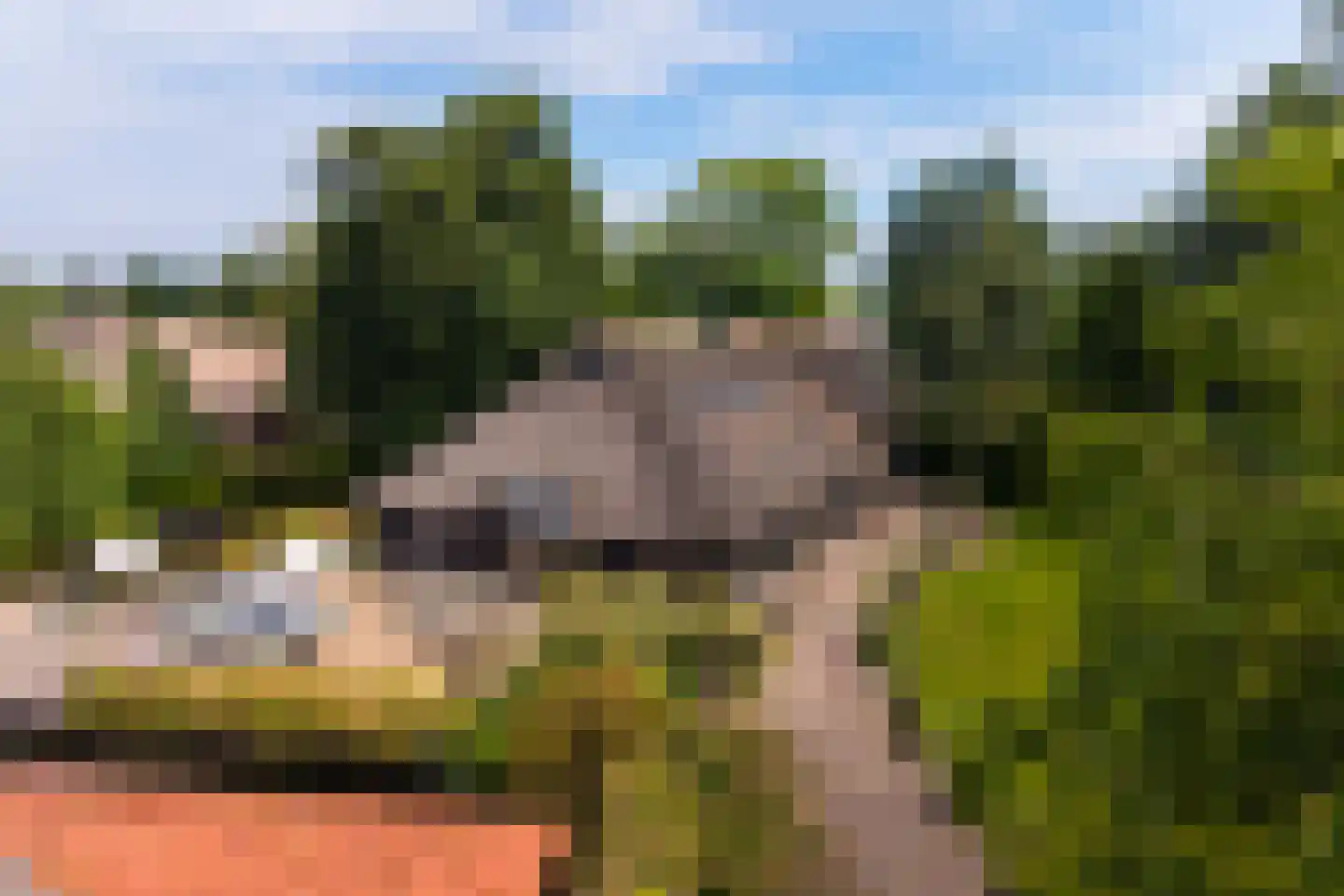 Zuiderpad 46 Giethoorn thumbnail 115
