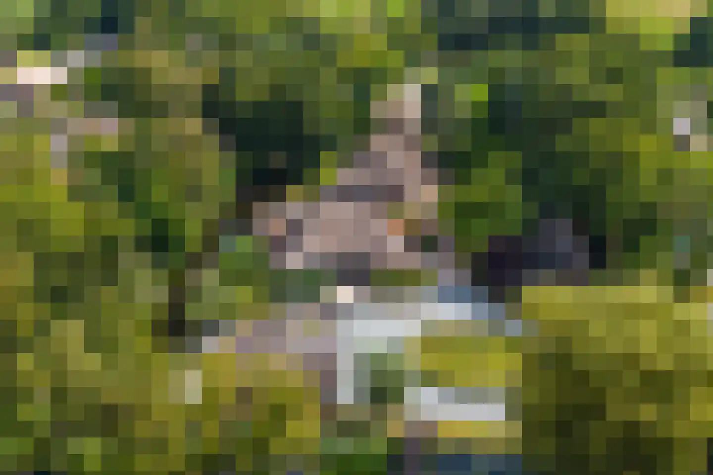 Zuiderpad 46 Giethoorn thumbnail 116