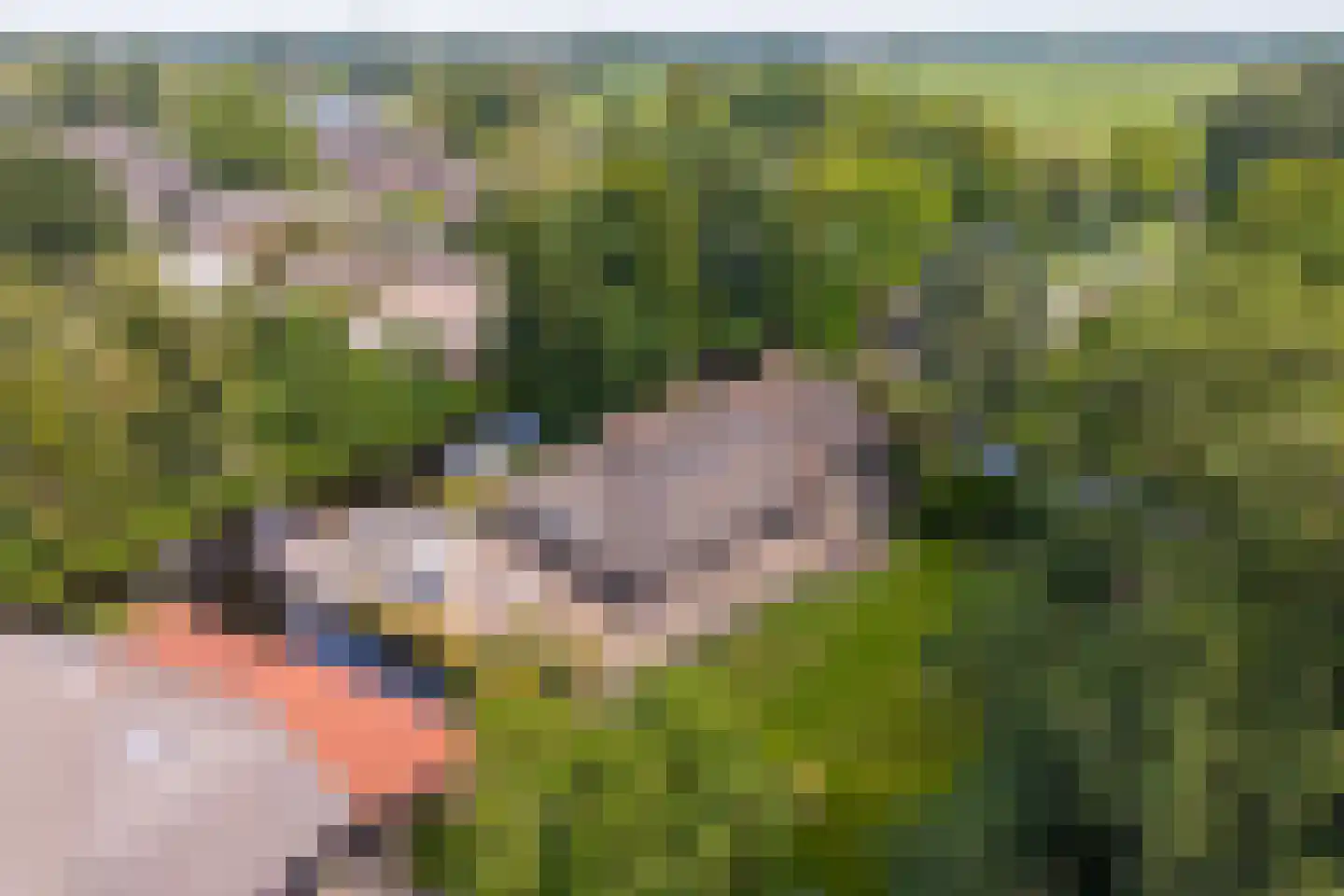 Zuiderpad 46 Giethoorn thumbnail 118