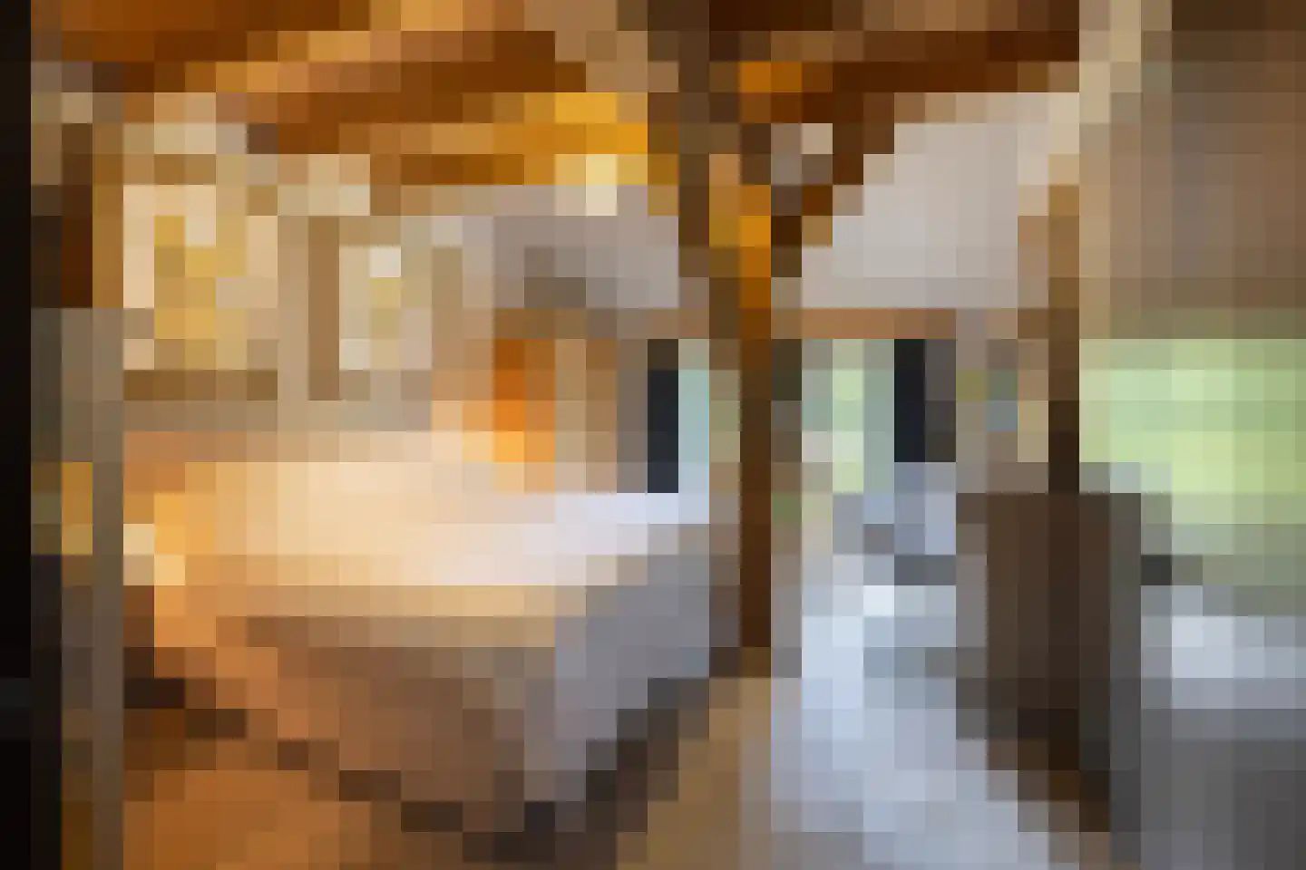 Zuiderpad 46 Giethoorn thumbnail 25