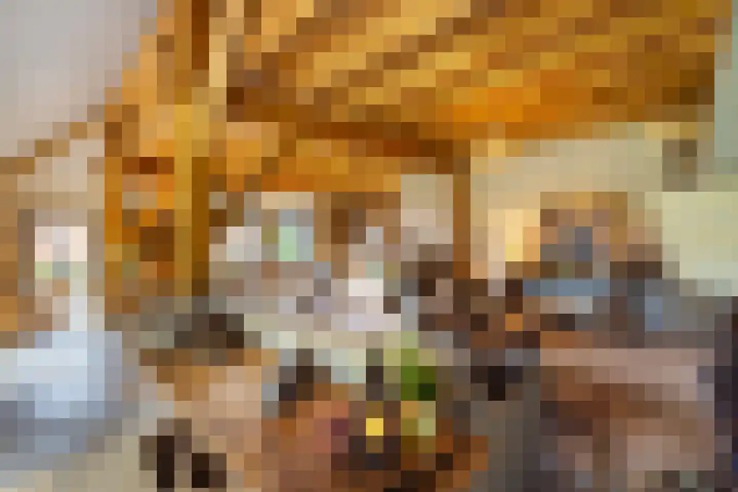 Zuiderpad 46 Giethoorn thumbnail 31