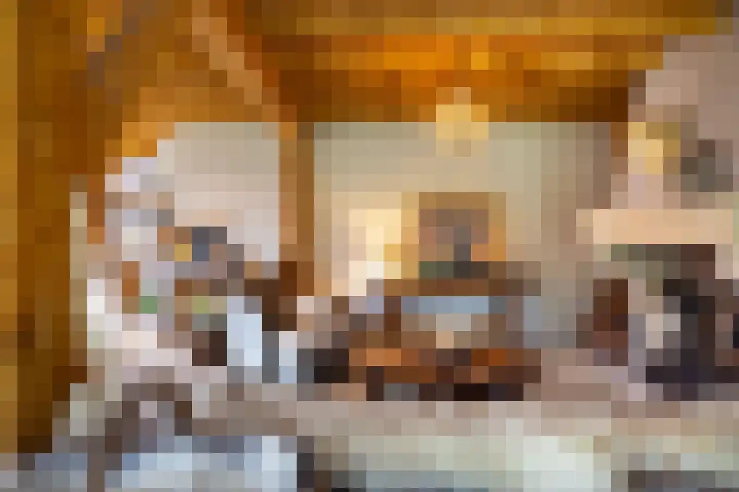 Zuiderpad 46 Giethoorn thumbnail 32
