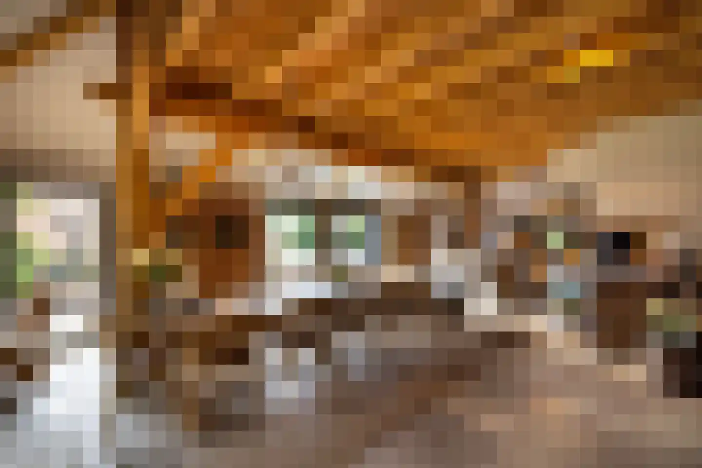 Zuiderpad 46 Giethoorn thumbnail 33