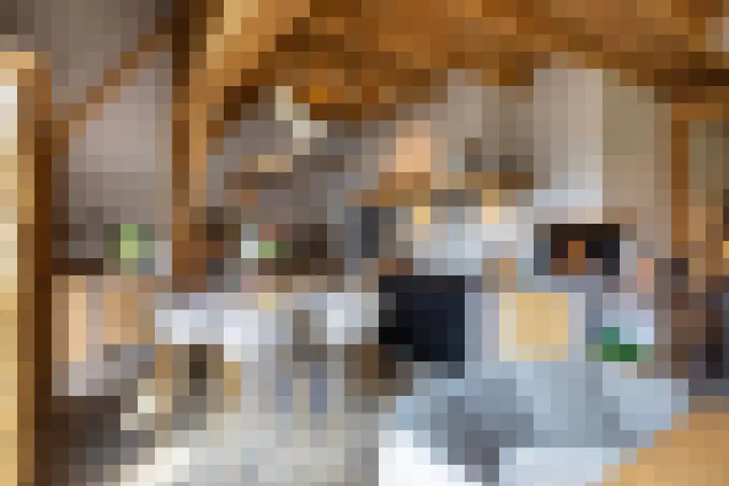 Zuiderpad 46 Giethoorn thumbnail 35