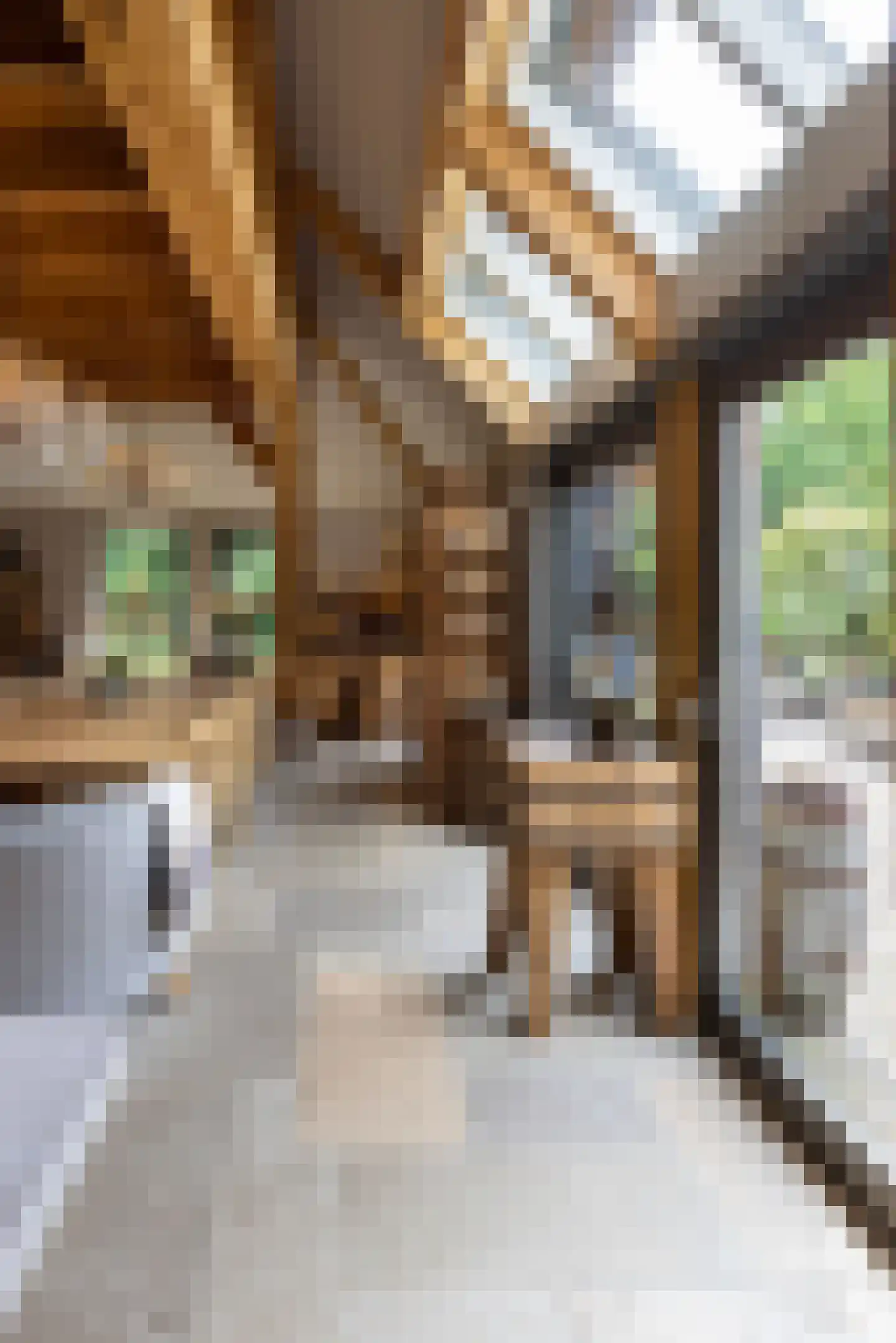 Zuiderpad 46 Giethoorn thumbnail 40