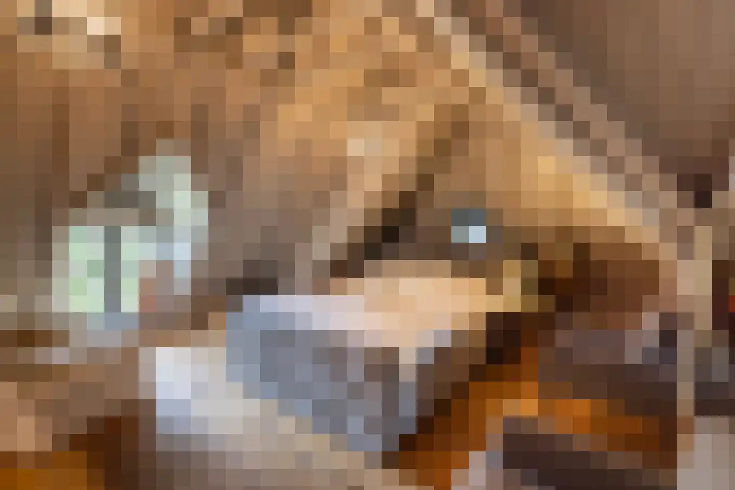 Zuiderpad 46 Giethoorn thumbnail 43