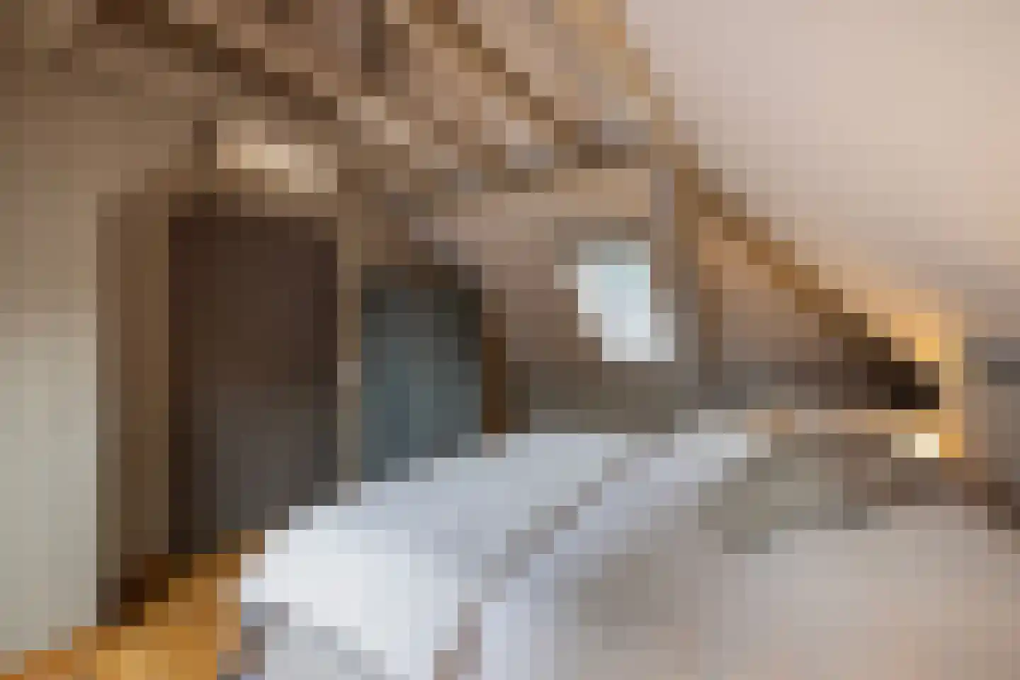 Zuiderpad 46 Giethoorn thumbnail 51