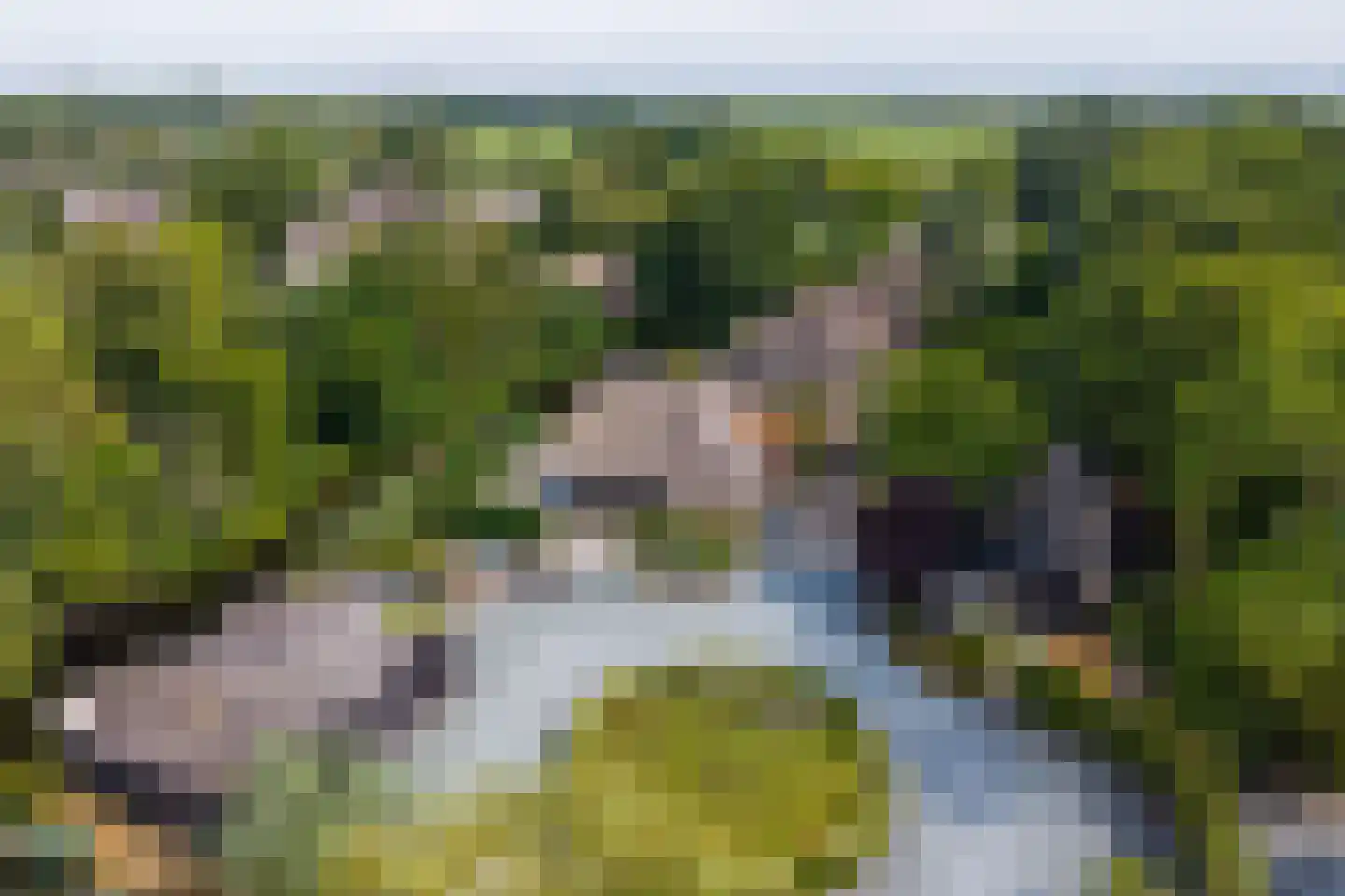 Zuiderpad 46 Giethoorn thumbnail 55