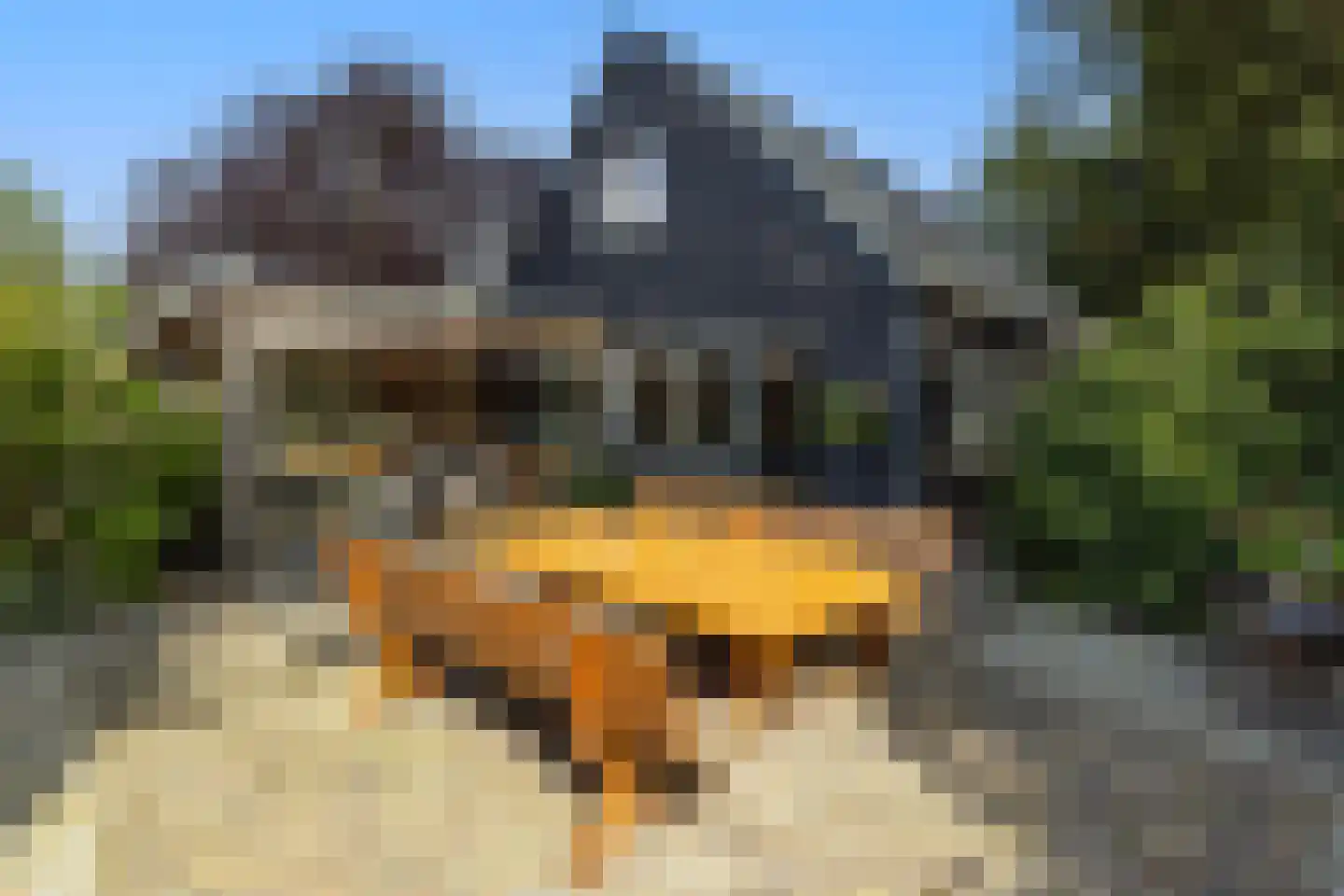 Zuiderpad 46 Giethoorn thumbnail 56