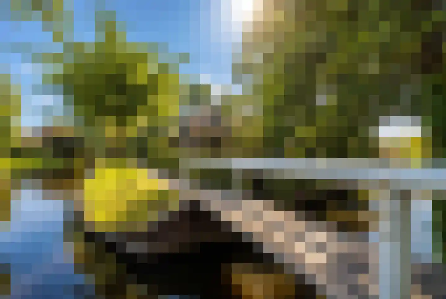 Zuiderpad 46 Giethoorn thumbnail 6