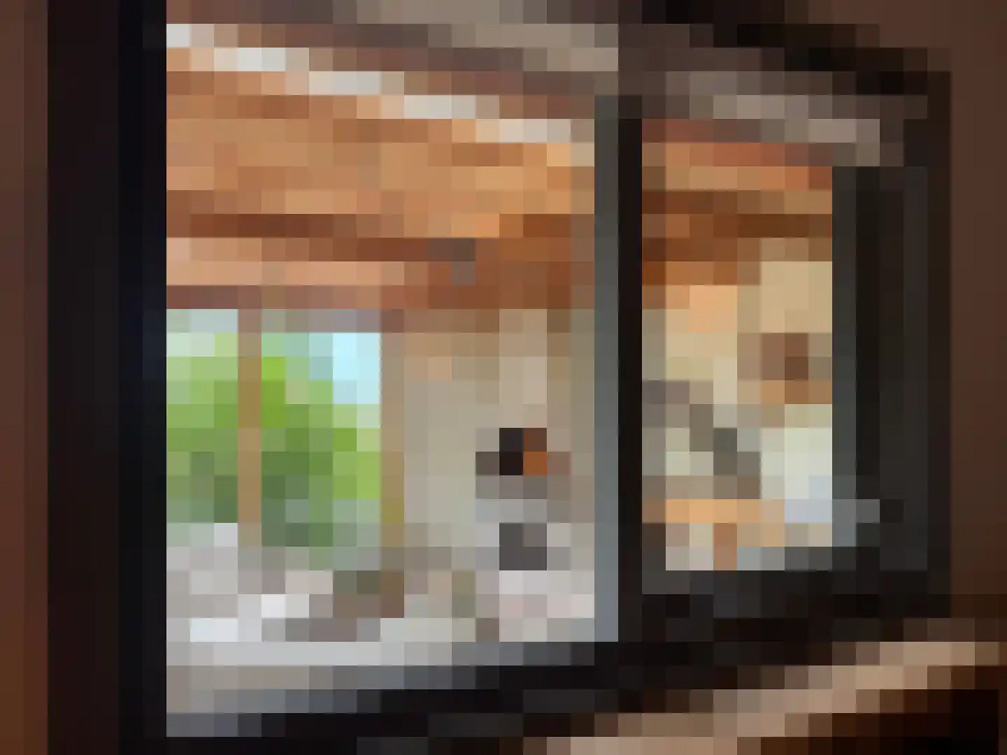 Zuiderpad 46 Giethoorn thumbnail 61
