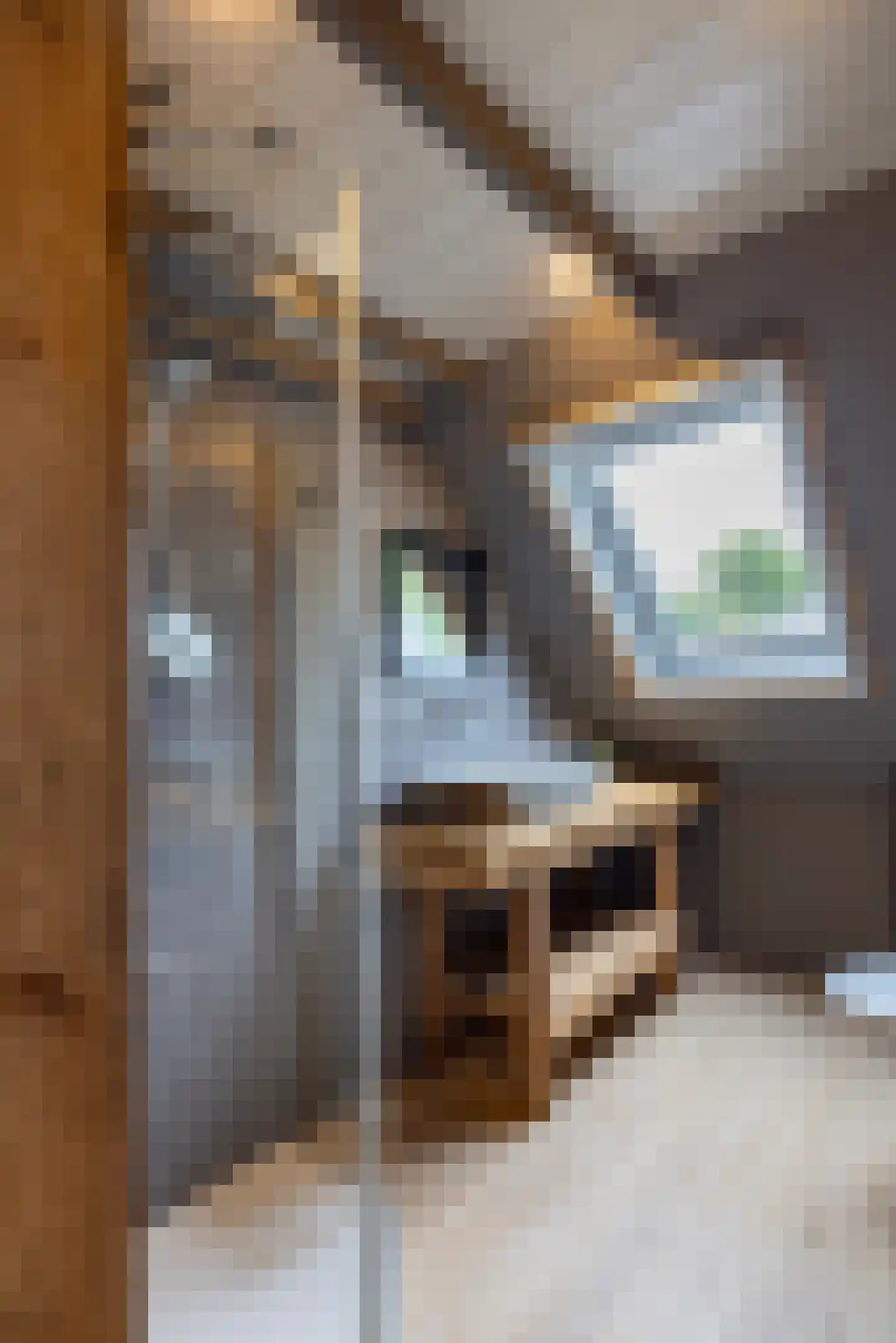 Zuiderpad 46 Giethoorn thumbnail 69