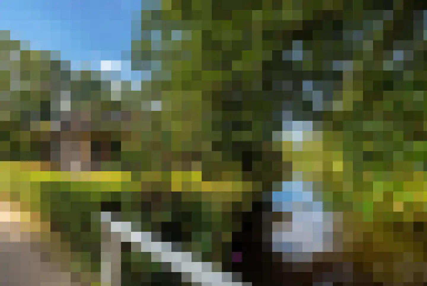 Zuiderpad 46 Giethoorn thumbnail 7