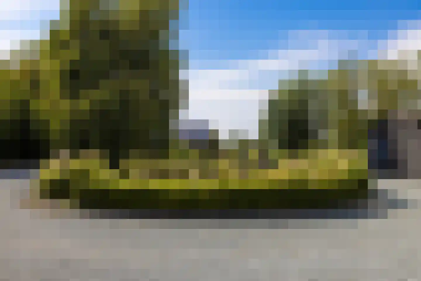 Zuiderpad 46 Giethoorn thumbnail 74