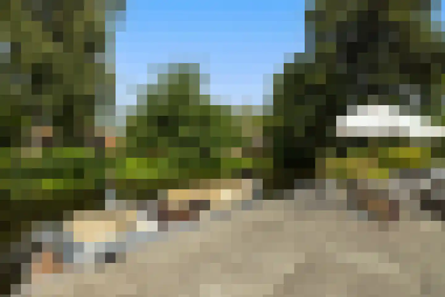 Zuiderpad 46 Giethoorn thumbnail 75