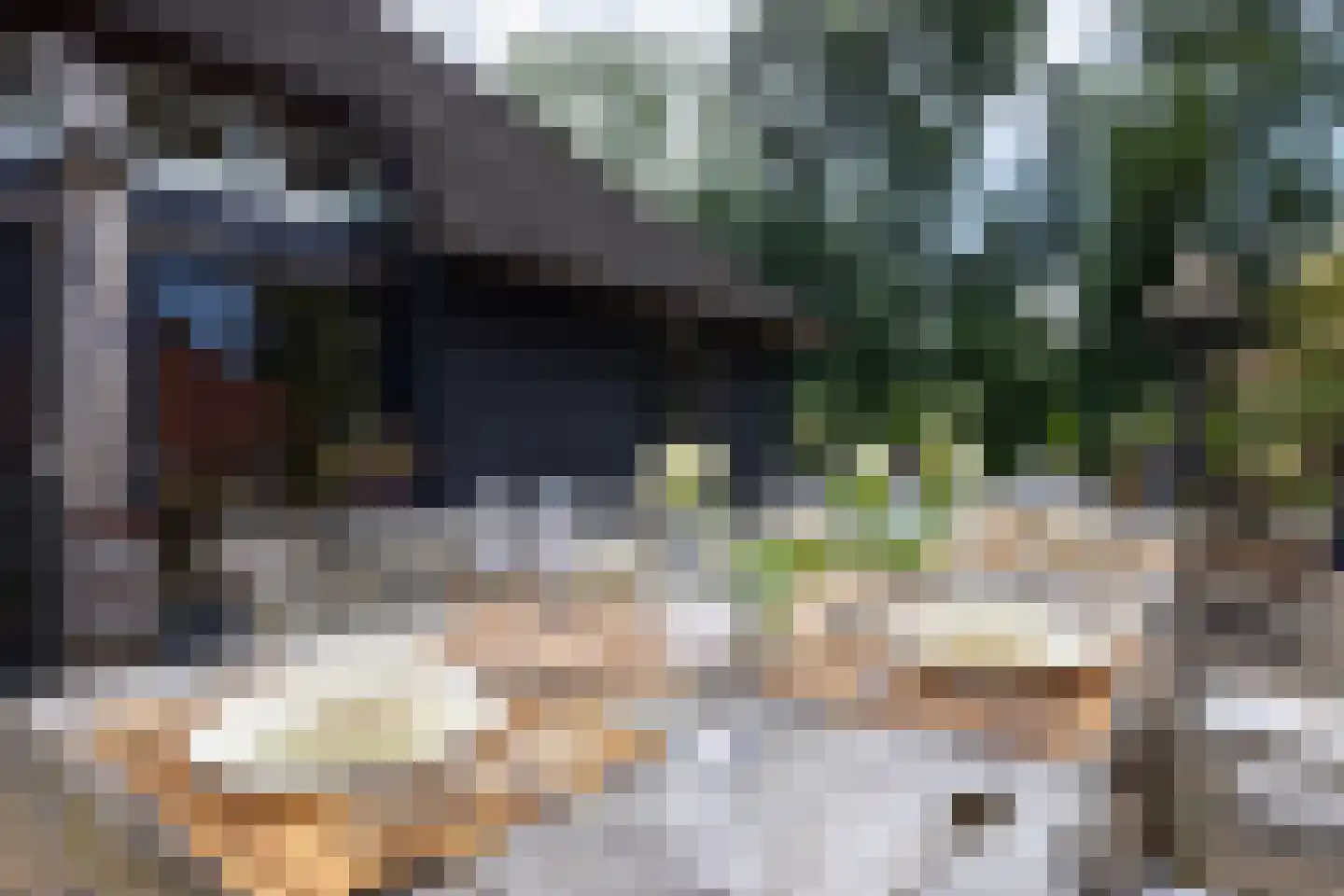 Zuiderpad 46 Giethoorn thumbnail 78