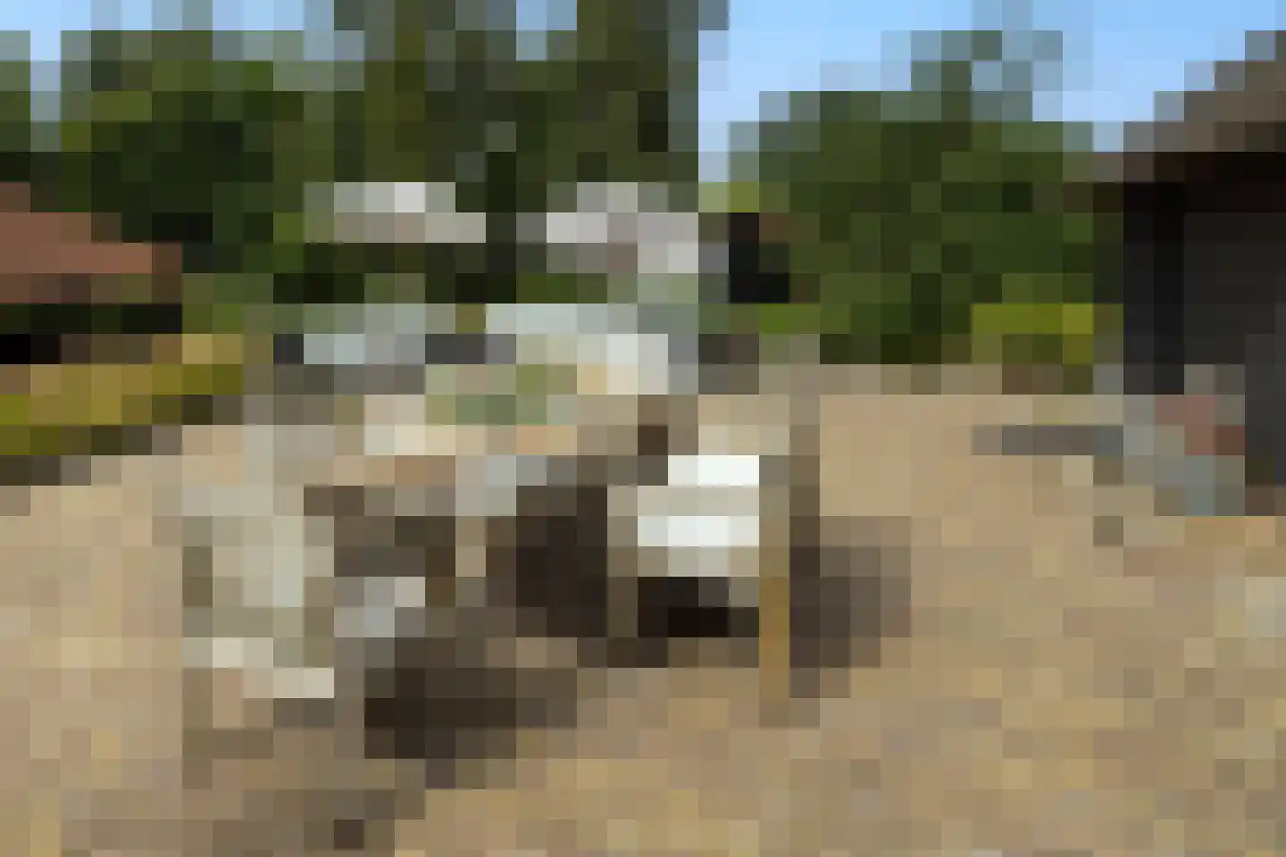 Zuiderpad 46 Giethoorn thumbnail 79
