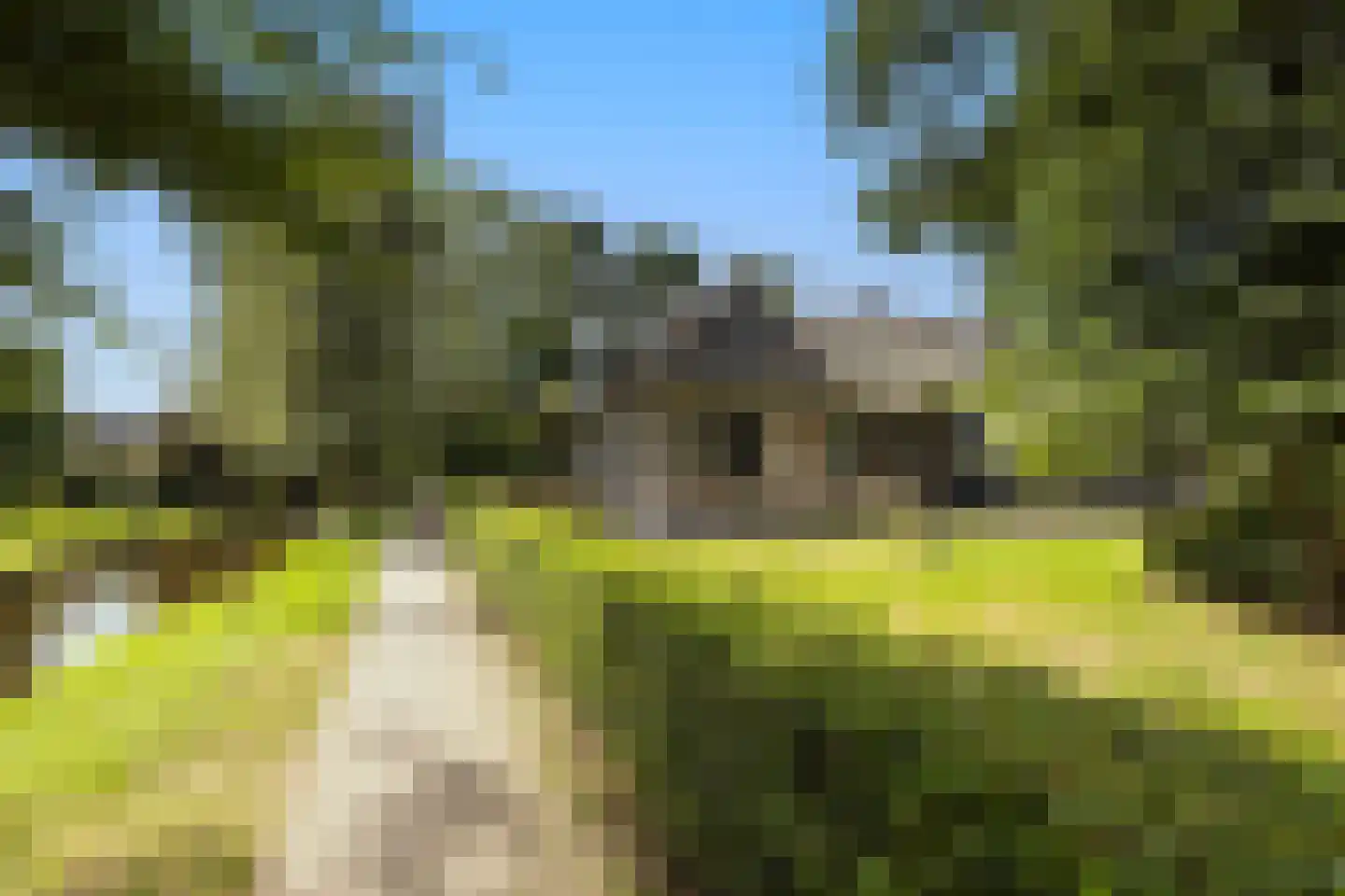Zuiderpad 46 Giethoorn thumbnail 8