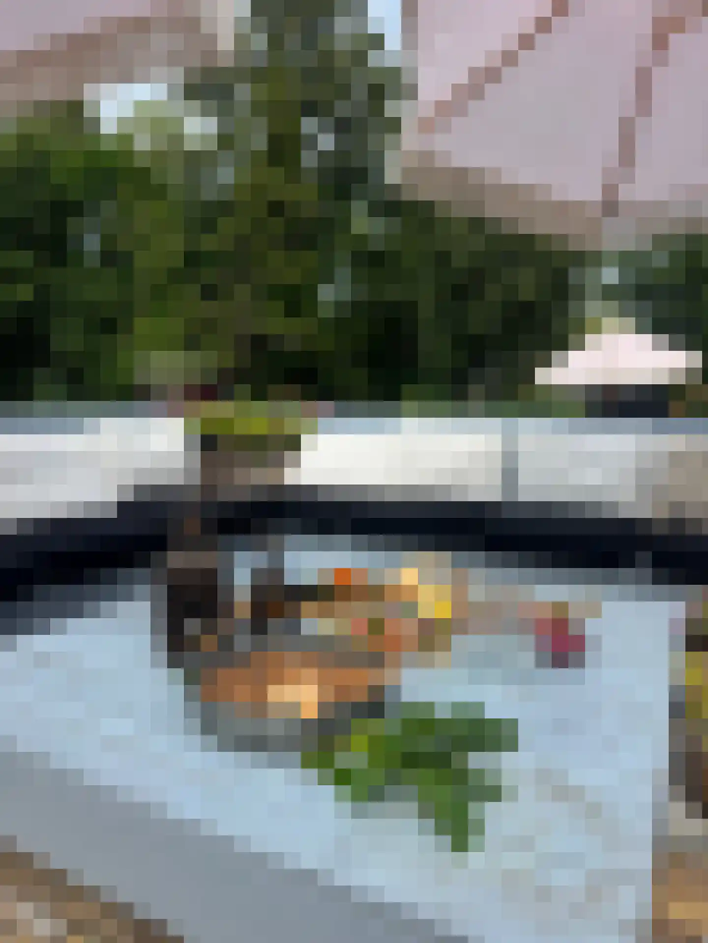 Zuiderpad 46 Giethoorn thumbnail 82
