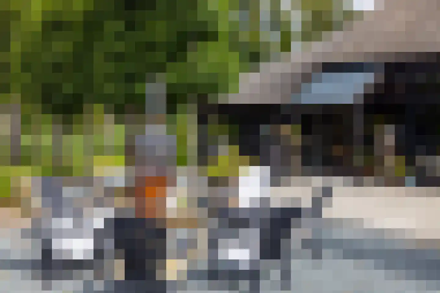 Zuiderpad 46 Giethoorn thumbnail 87