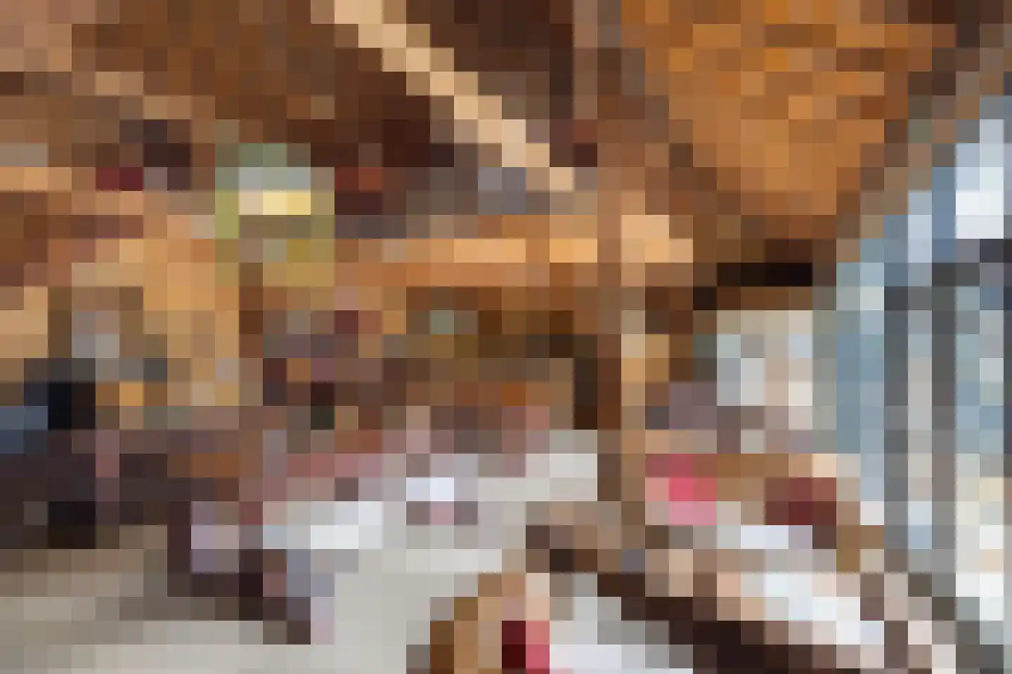 Zuiderpad 46 Giethoorn thumbnail 89