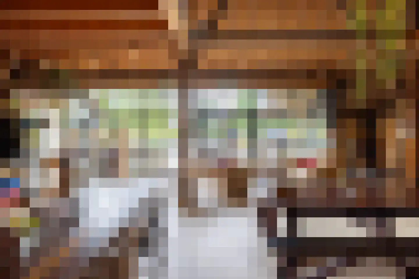 Zuiderpad 46 Giethoorn thumbnail 90