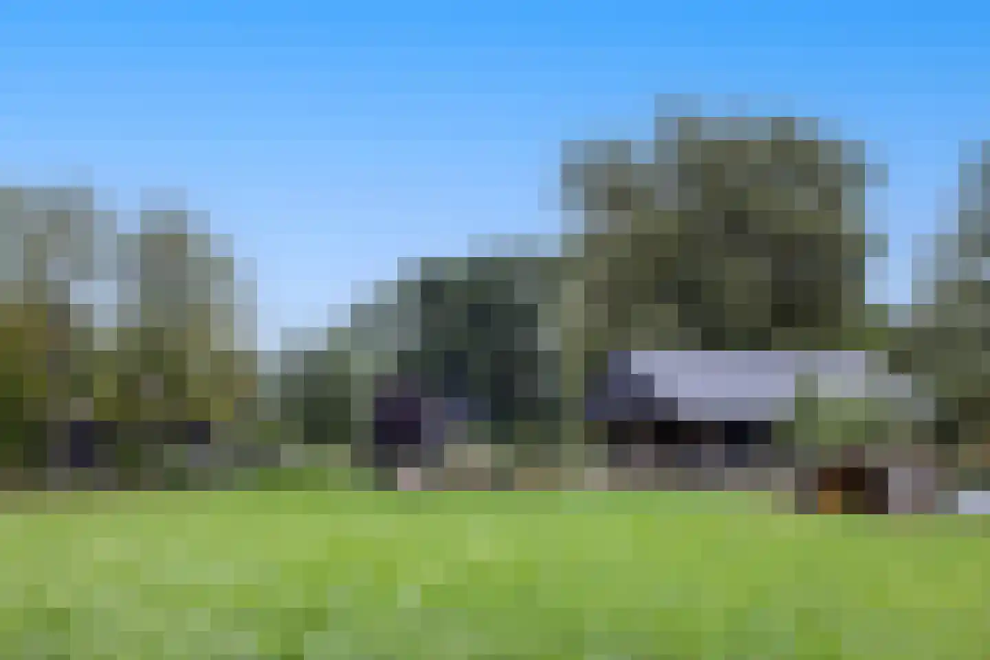 Zuiderpad 46 Giethoorn thumbnail 97