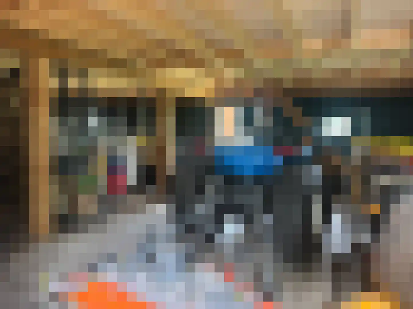 Zuiderpad 46 Giethoorn thumbnail 99