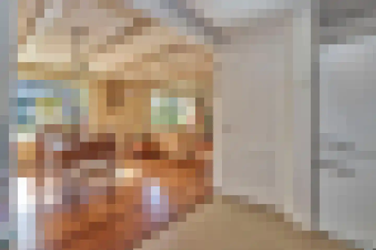 Zuiderpad 48 Zuidoostbeemster thumbnail 11