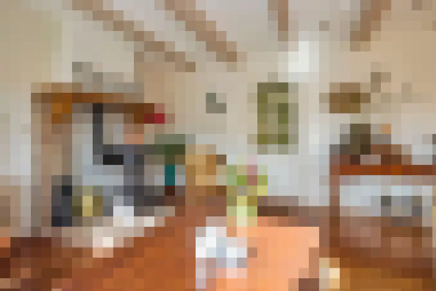 Zuiderpad 48 Zuidoostbeemster thumbnail 13