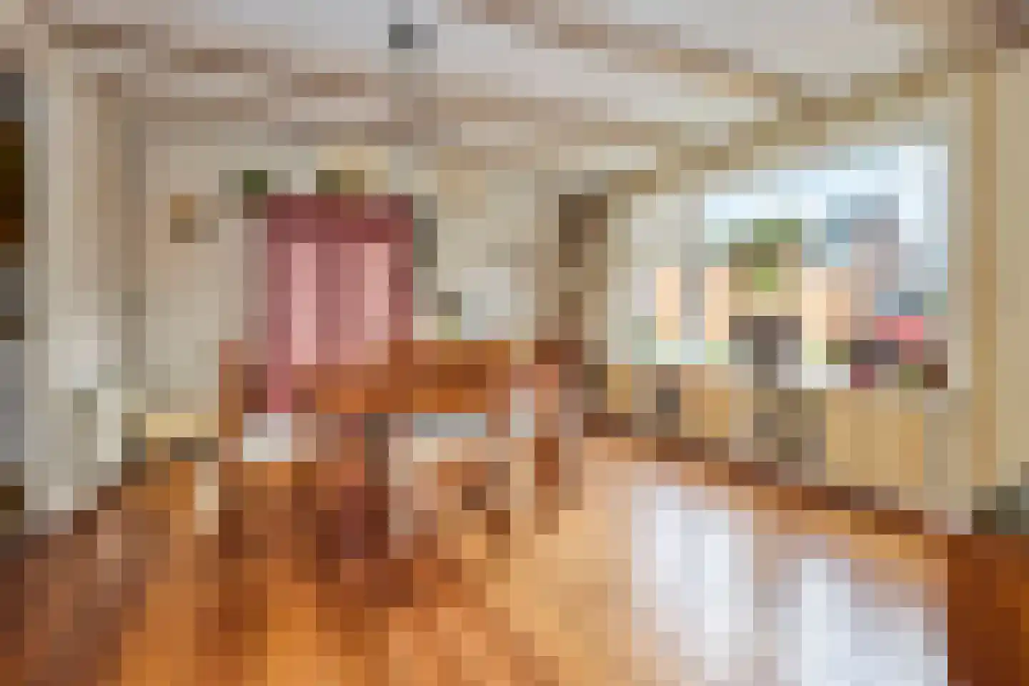 Zuiderpad 48 Zuidoostbeemster thumbnail 16