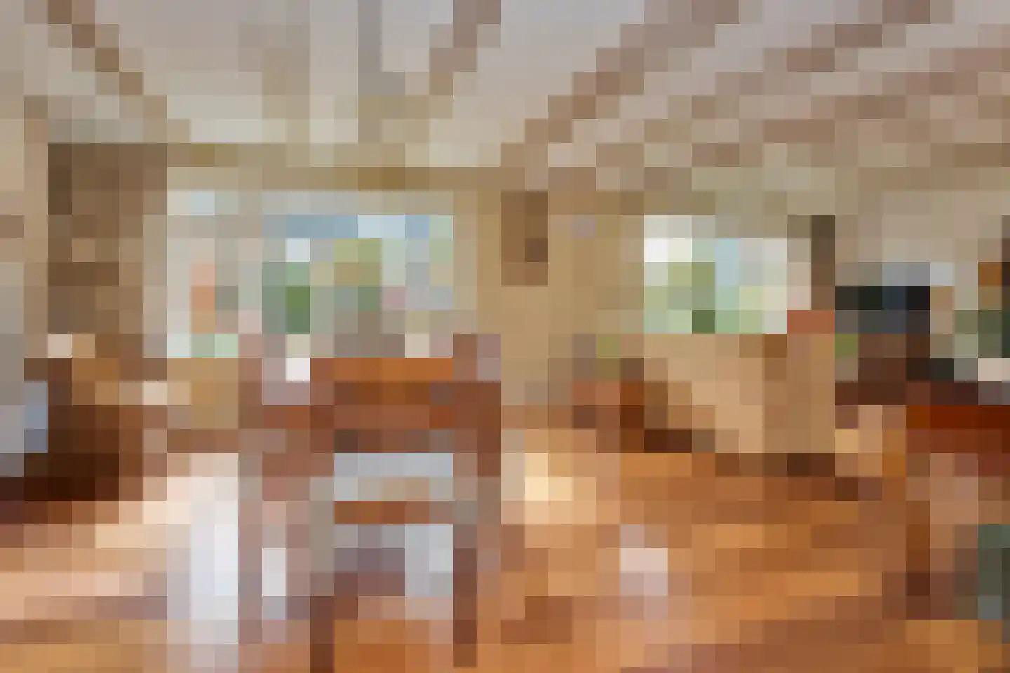 Zuiderpad 48 Zuidoostbeemster thumbnail 19