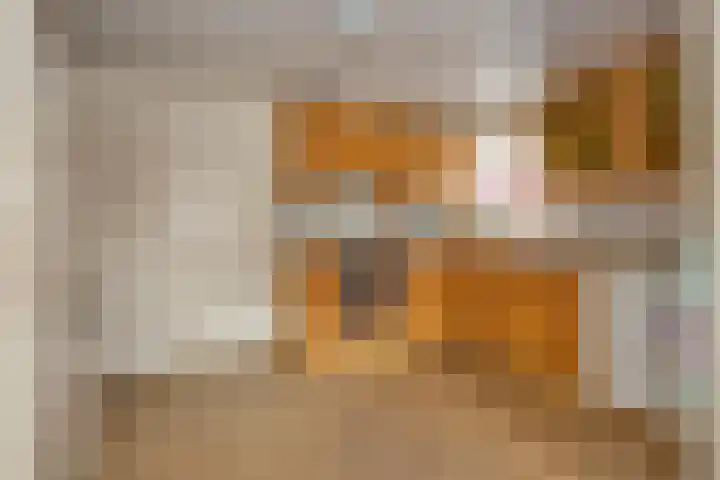 Zuiderpad 48 Zuidoostbeemster thumbnail 20