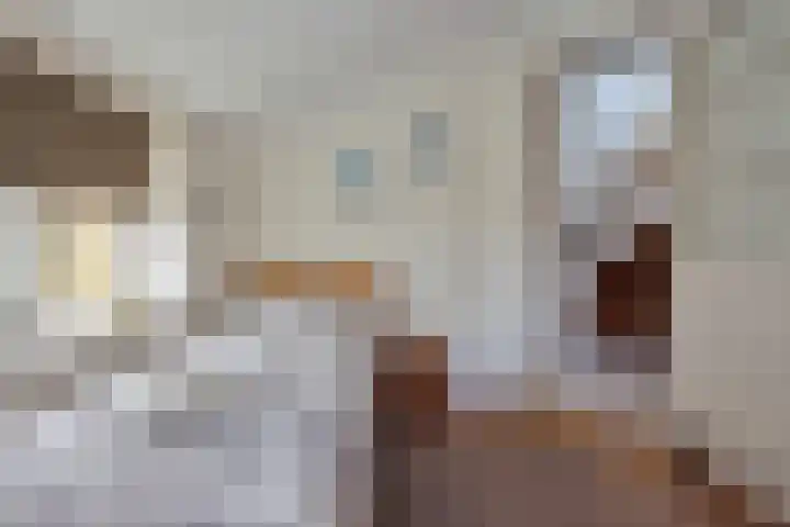 Zuiderpad 48 Zuidoostbeemster thumbnail 26