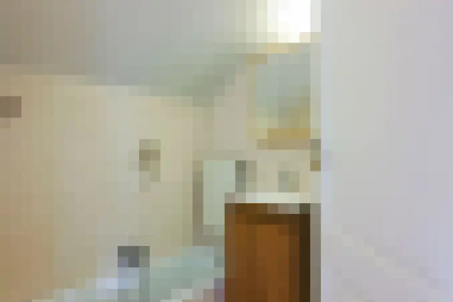 Zuiderpad 48 Zuidoostbeemster thumbnail 27
