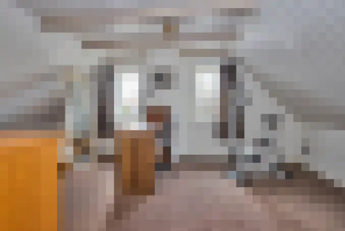 Zuiderpad 48 Zuidoostbeemster thumbnail 33
