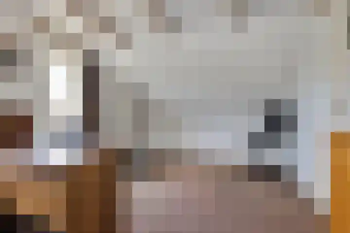 Zuiderpad 48 Zuidoostbeemster thumbnail 34