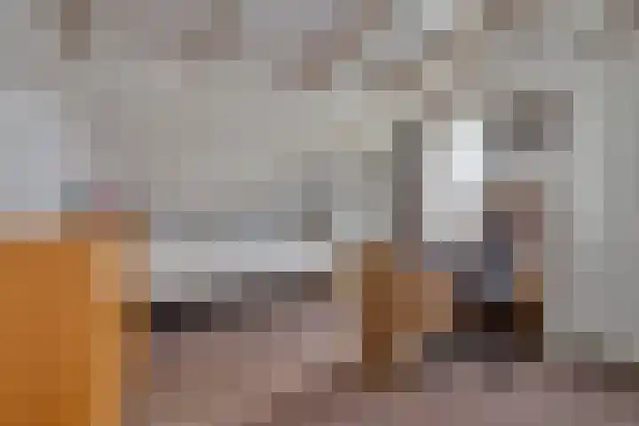 Zuiderpad 48 Zuidoostbeemster thumbnail 35