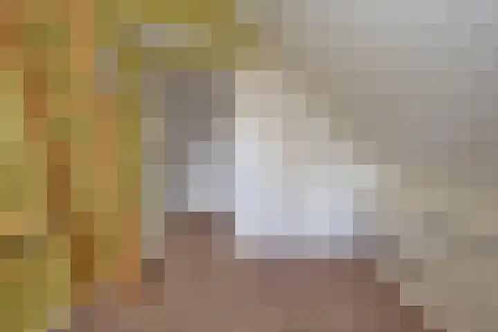 Zuiderpad 48 Zuidoostbeemster thumbnail 37